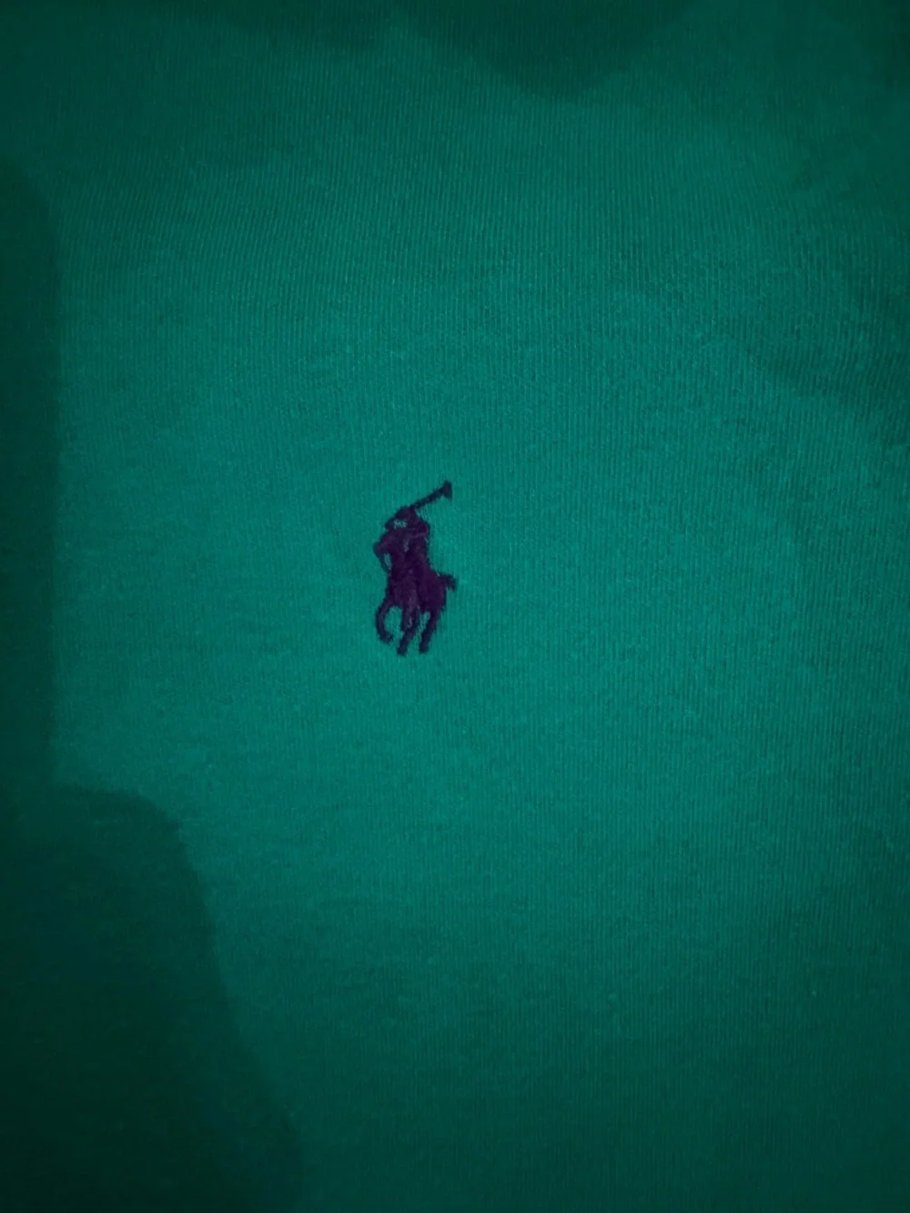 Ralph Lauren Teal Green Polo with Embroidered Pony